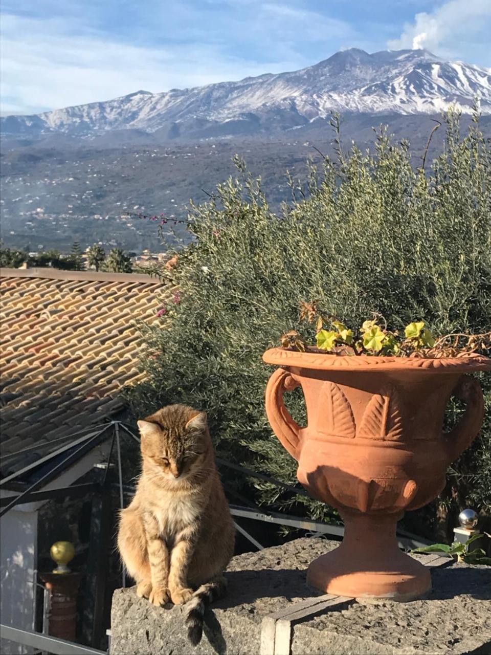 Borgo San Biagio Villa Calatabiano Dış mekan fotoğraf